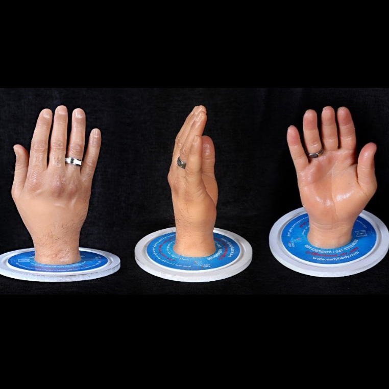 انواع پوست های زیبایی شرکت بهبود عضو ثانی (9)